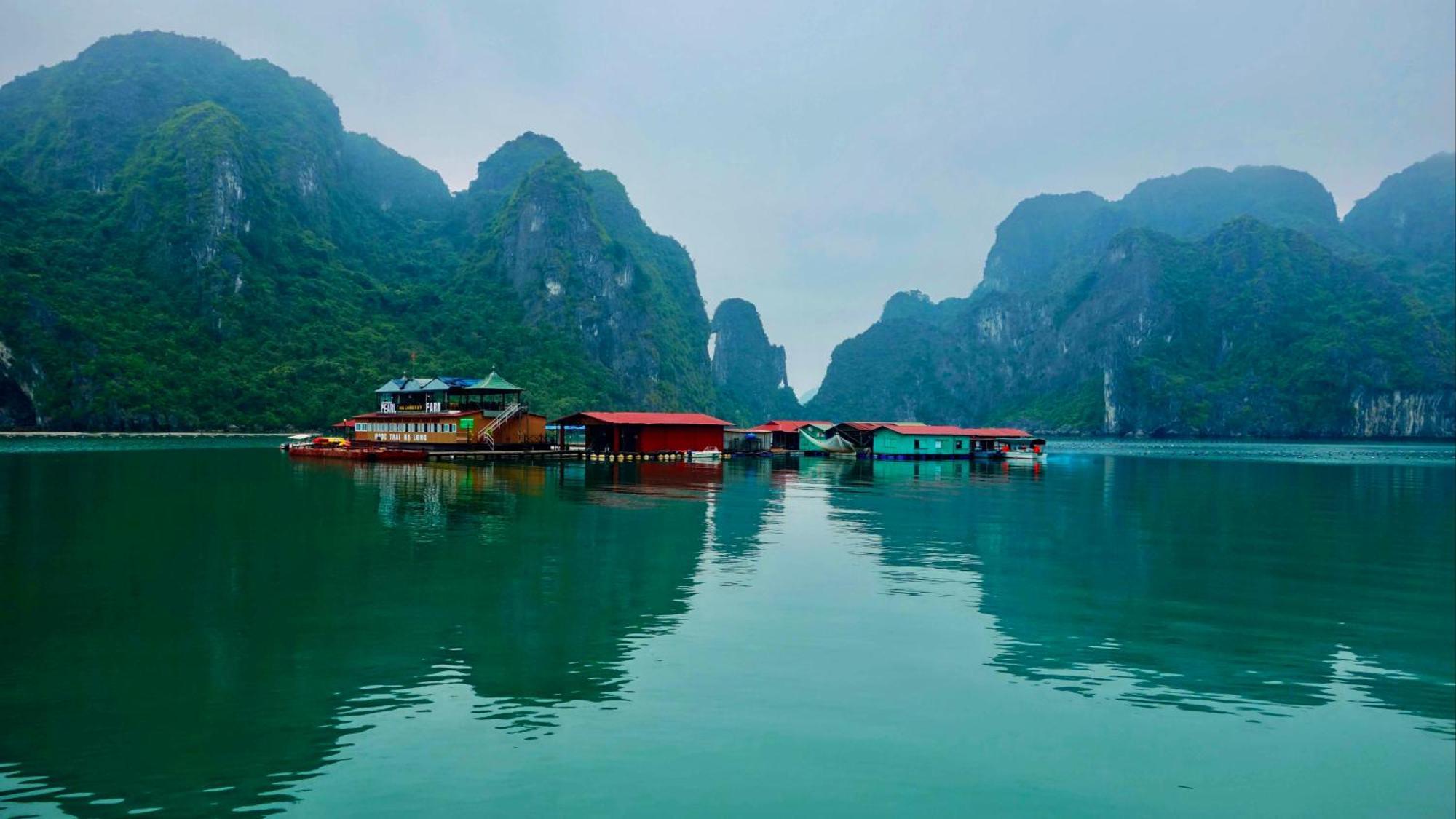 Arcady Boutique Cruise Hotell Ha Long Eksteriør bilde